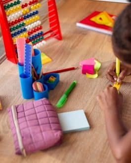 Educational Toys