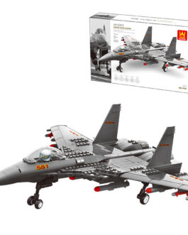 Wange Building Blocks Fighter Simulation