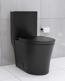 Matte Black Elongated One Piece Toilet Dual Flush 1.1/1.6 GPF Water Saving Map 1000g,Matte Black