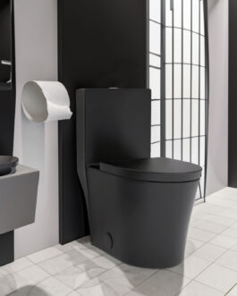 Modern black toilet in sleek bathroom design